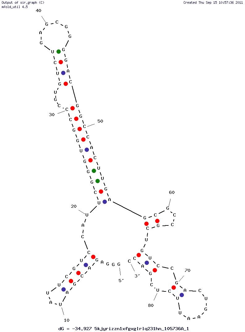 Trypanosoma brucei (2-16) structure
