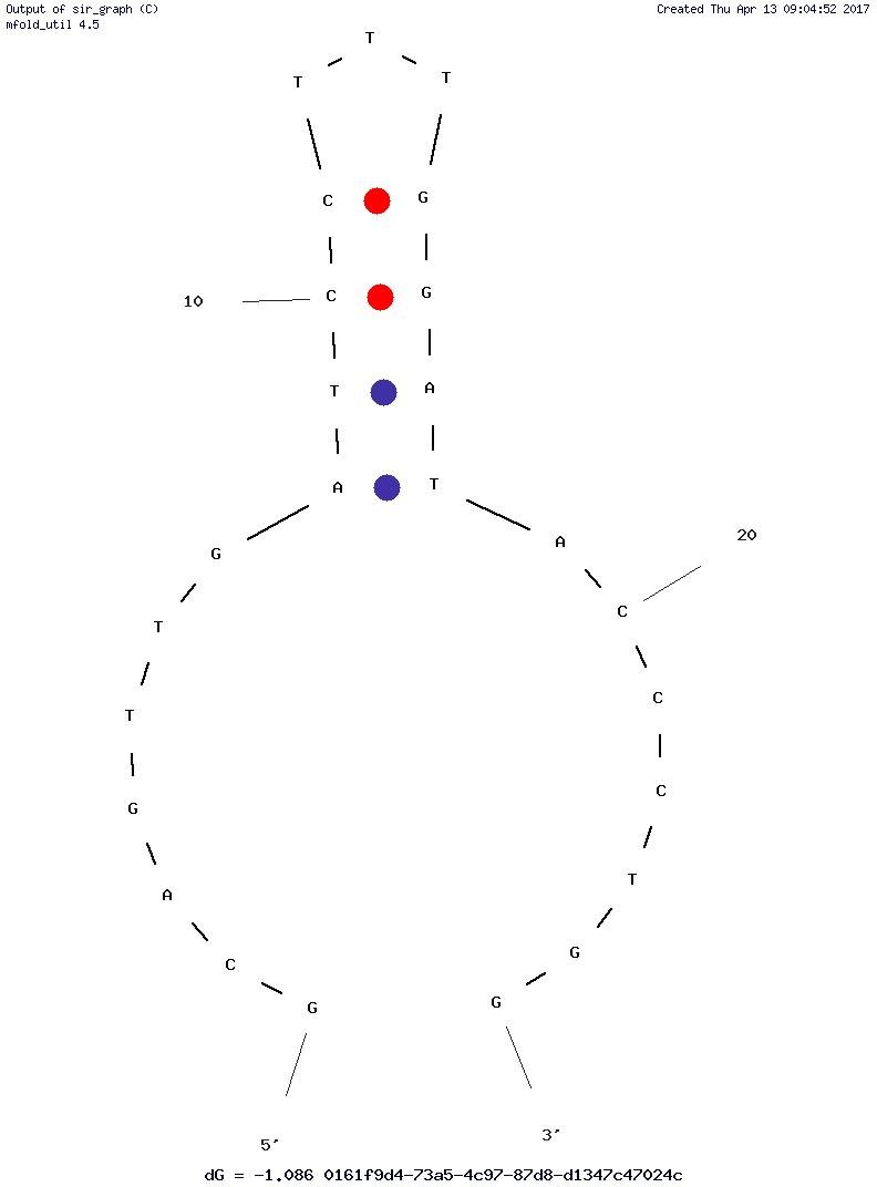 S2.2 structure