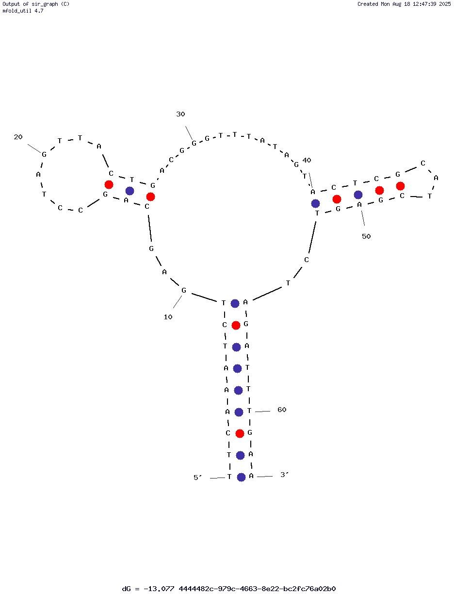 ML6 structure