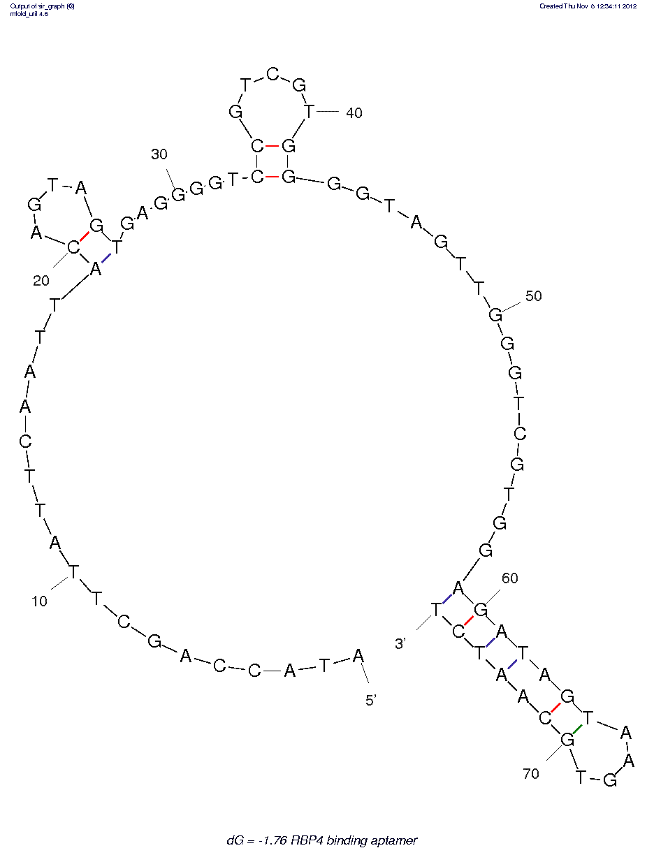 RBP4 binding aptamer (RBA) structure