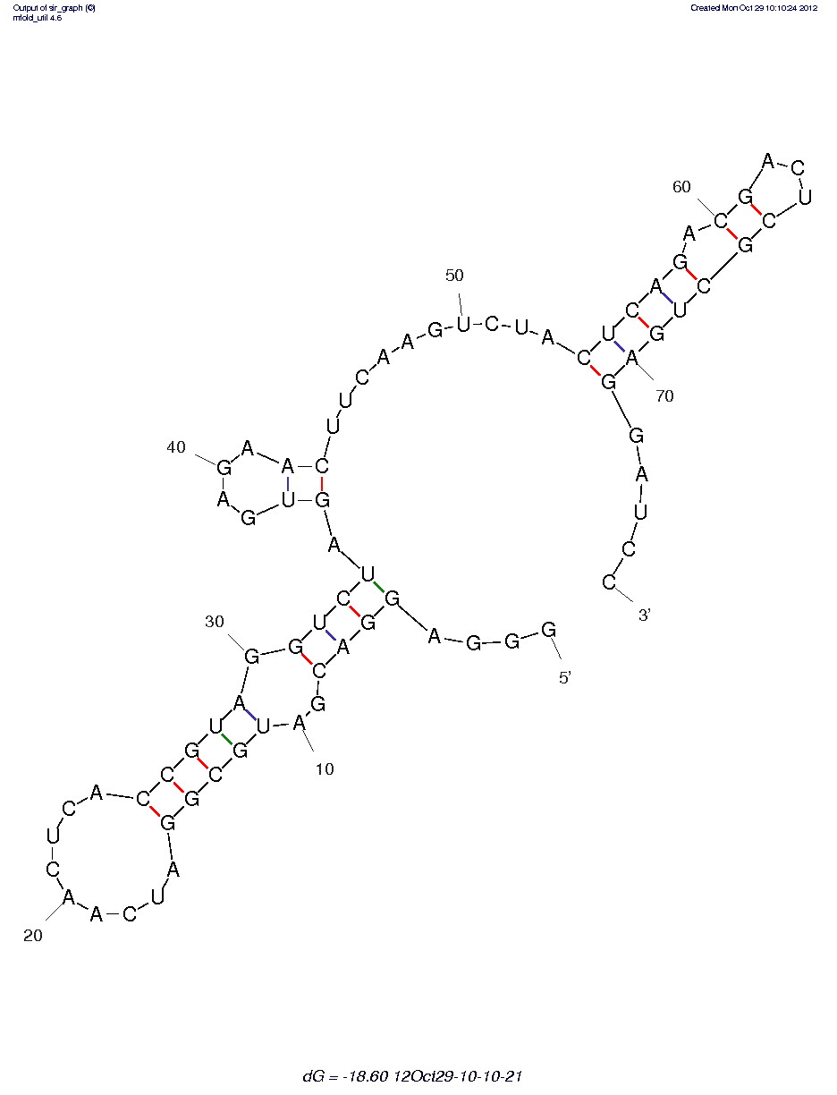 Human Wild-type PAI-1 (WT-15) structure