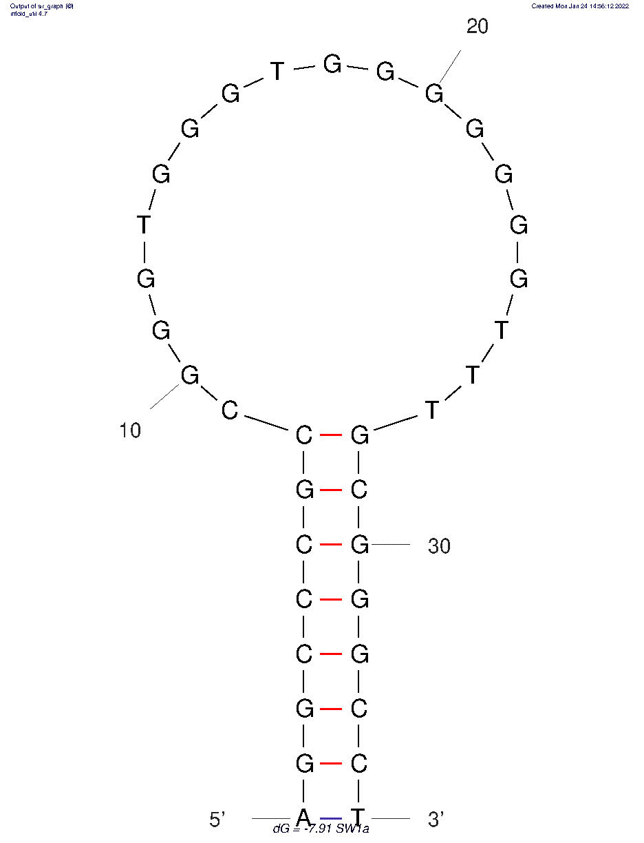 SW1A structure