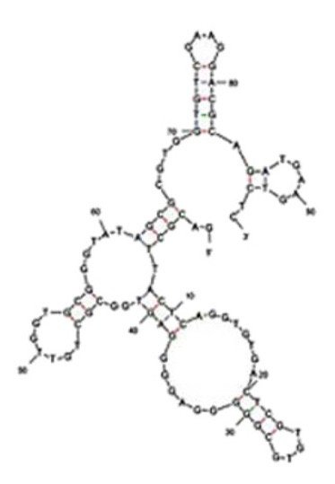 QA-36 structure