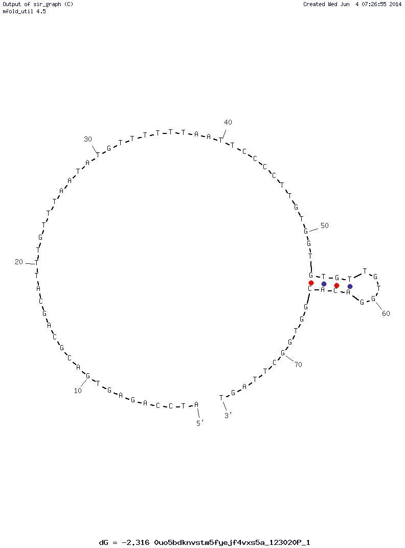U31 structure