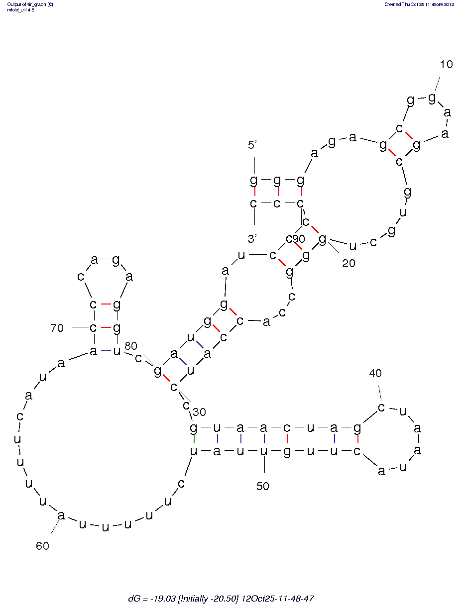 RIG-I (CL9) structure
