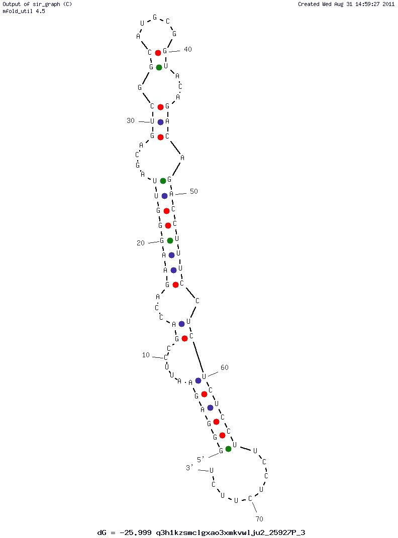 Human Influenza A virus H3N2 (P30-10-16) structure
