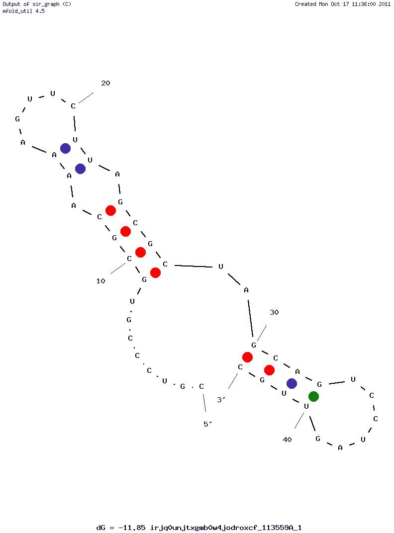 Avian Myeloblastosis Virus (a.1.1) structure