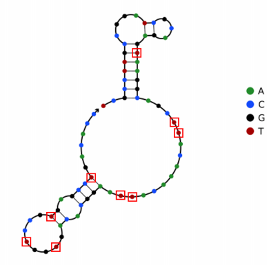 Azo-1 structure