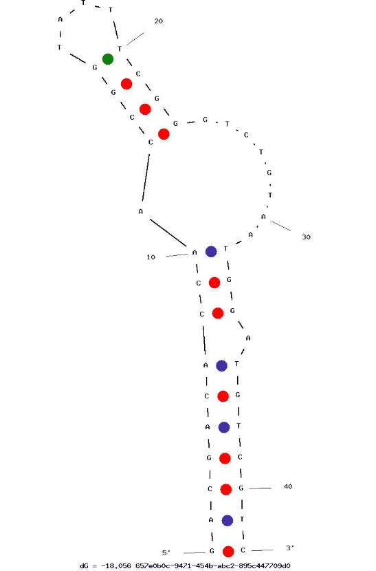 R10G2 structure