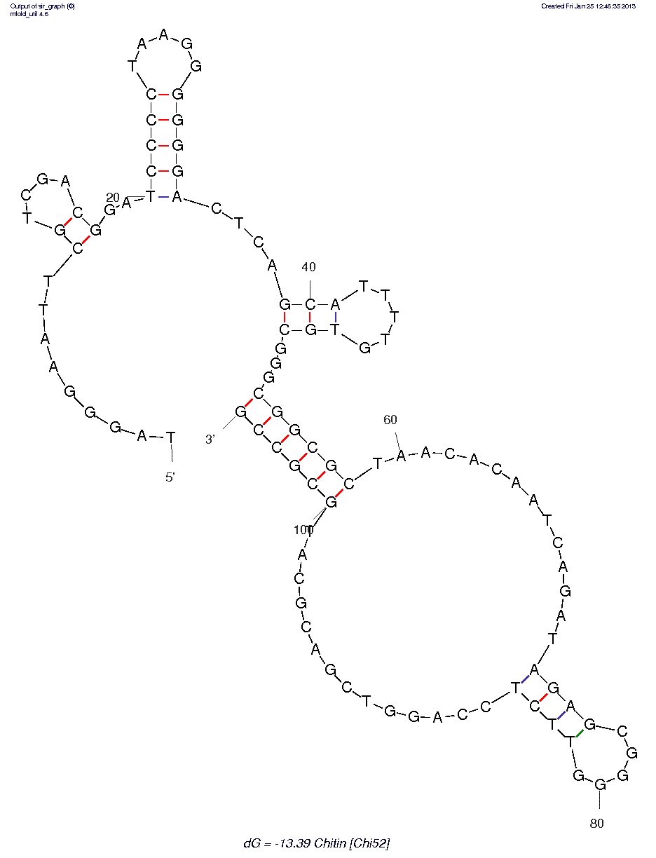 Chitin (Chi#52) structure