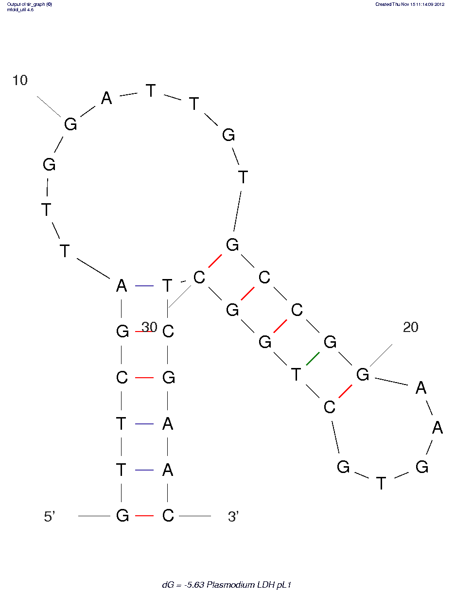 Plasmodium falciparum lactate dehydrogenase  (pL1) structure