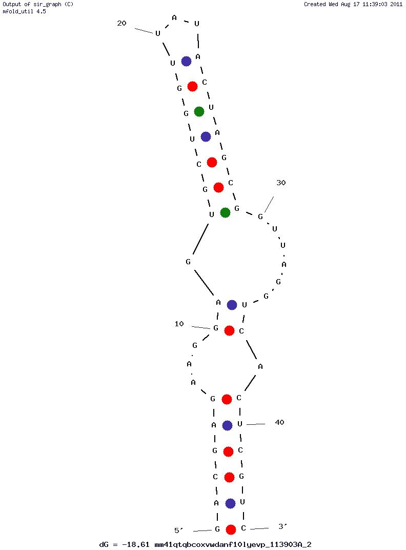 L-Citrulline (44Cit11) structure
