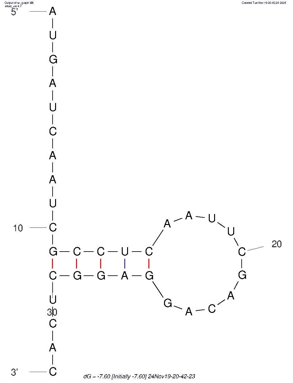 GL21.T structure