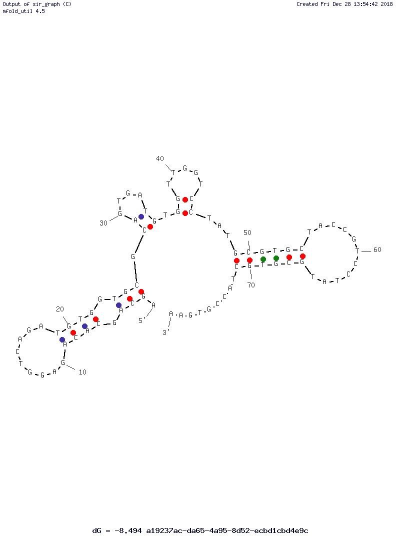 Carbonic Anhydrase IX Aptamer structure