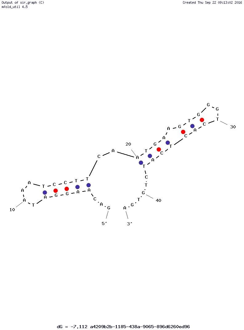 Cocaine Aptamer structure
