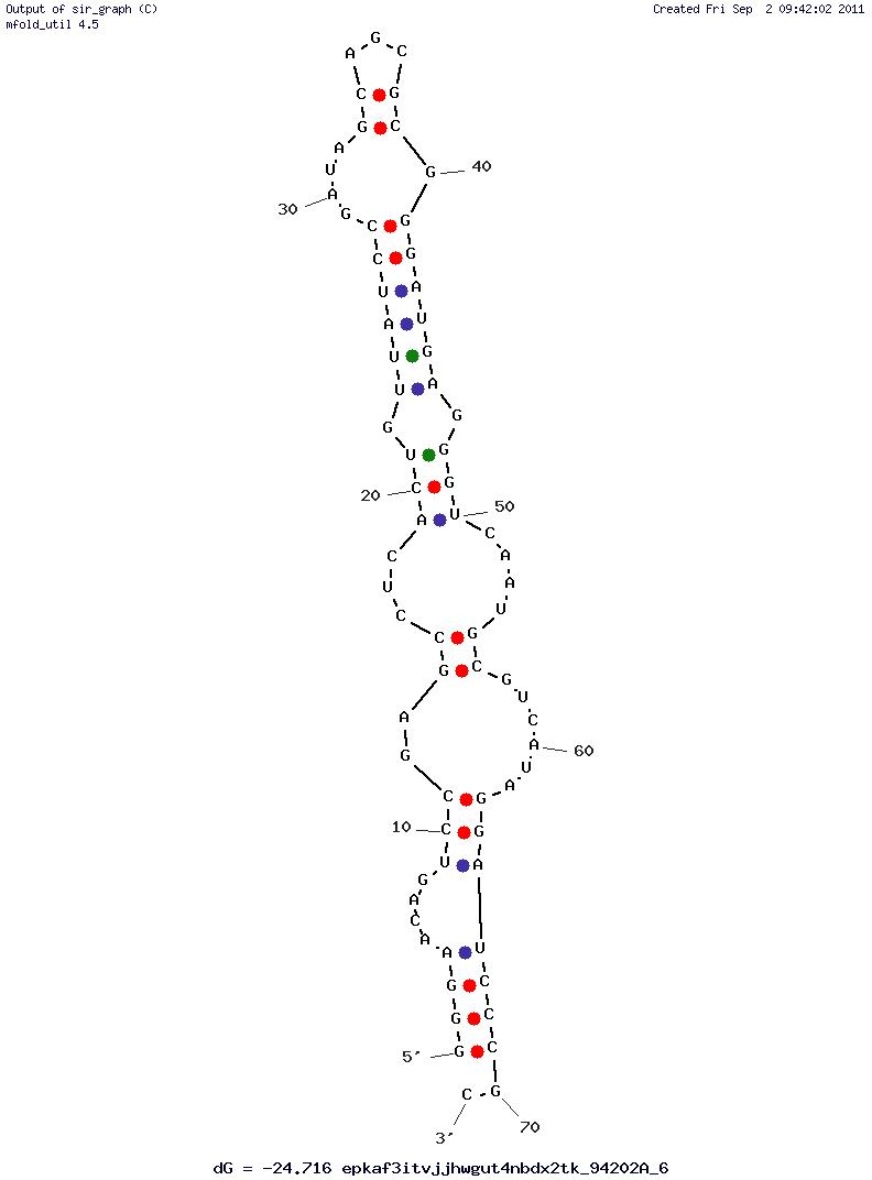 S. Enterica Serovar Typhi IVP Pili Protein (S-PS8.4) structure
