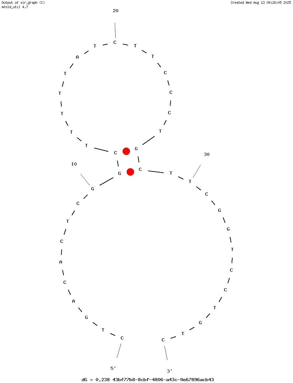 Apt-11 inhibiting α-Synuclein Seeding-Dependent Aggregation structure