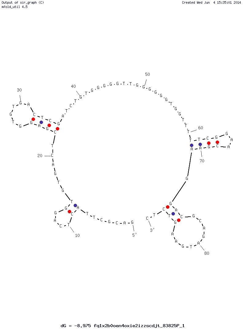 JH19 structure