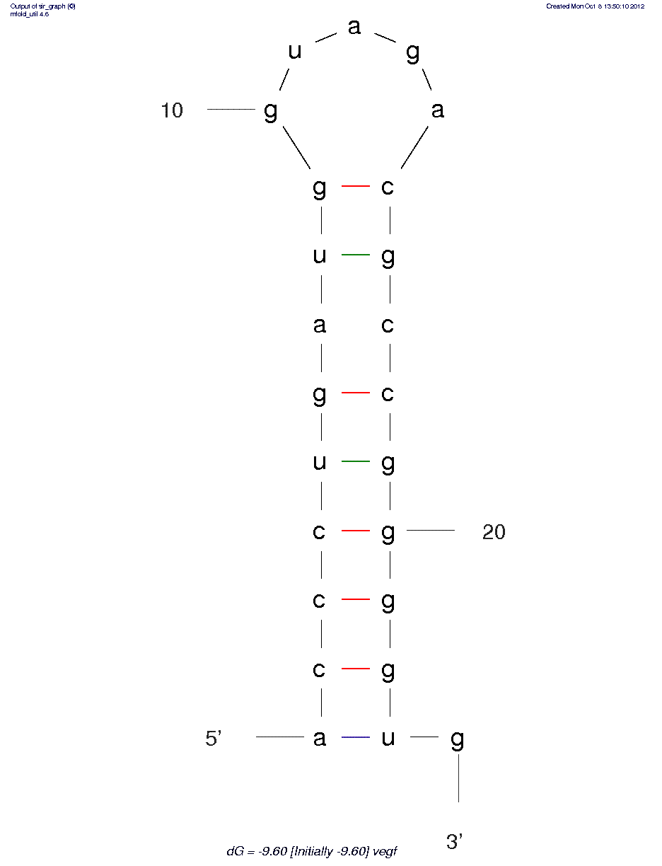 Vascular Permeability  Factor/Vascular  Endothelial  Growth  Factor (NX-213) structure