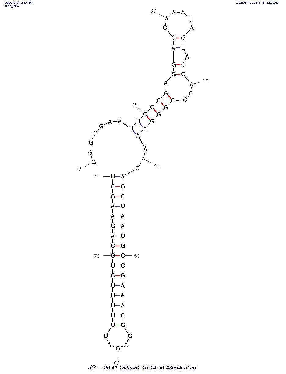 Terminal 8-oxodG DNA Lesion (R10-B35) structure