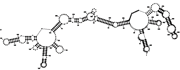 Protein Kinase R (PKR) Aptamer structure