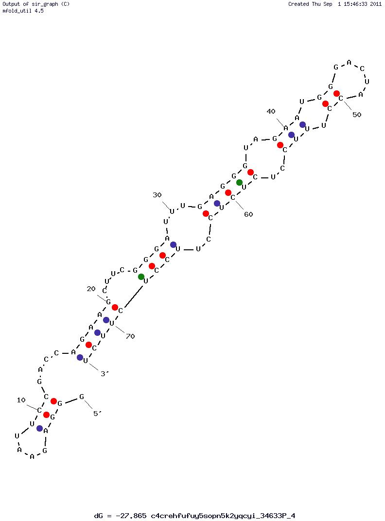 Hepatitis C Virus Non-Structural Protein 3 (G9-1) structure