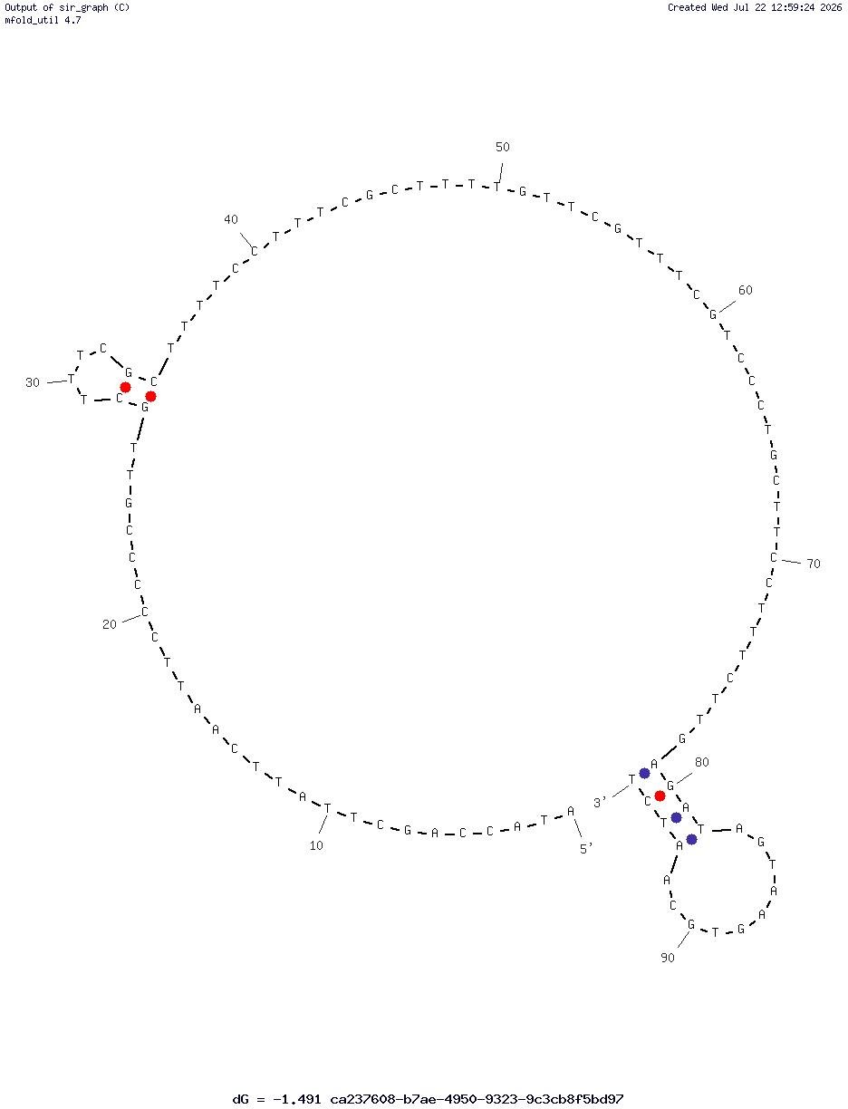Pseudomonas aeruginosa (F23) structure