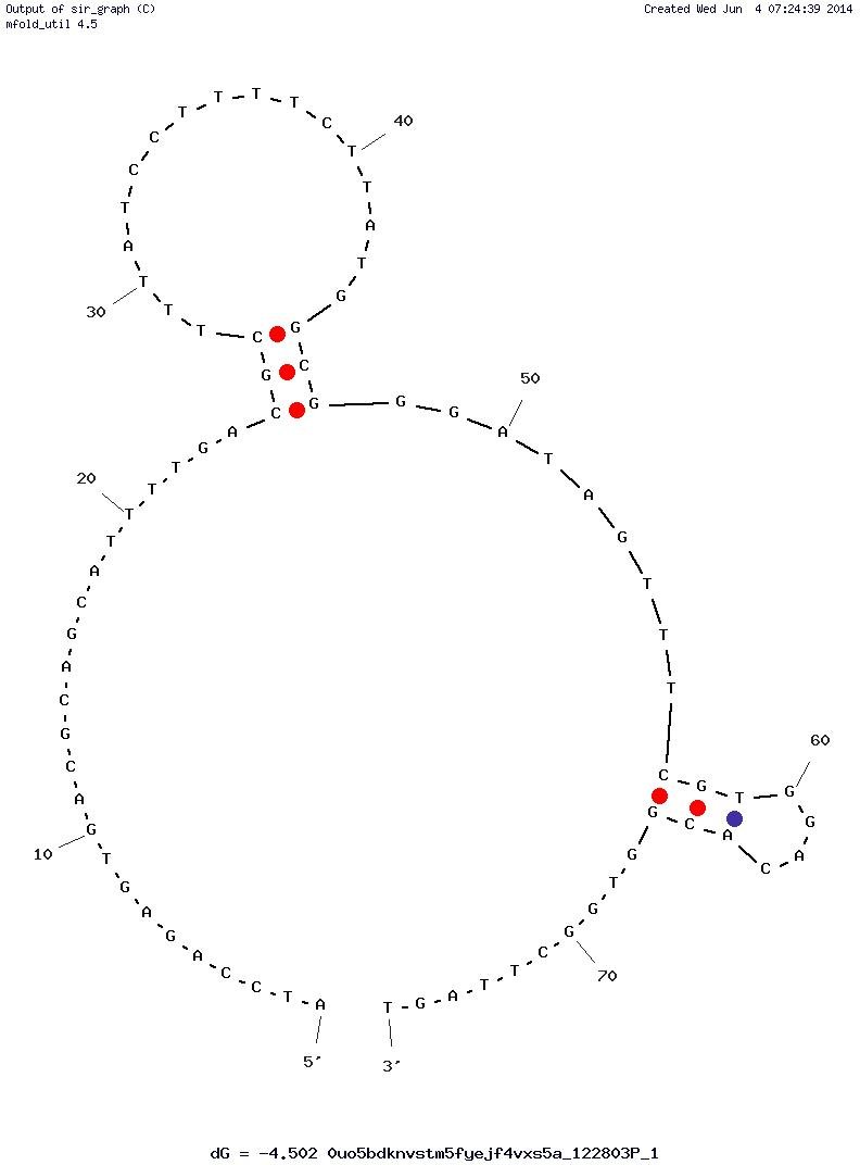 U2 structure