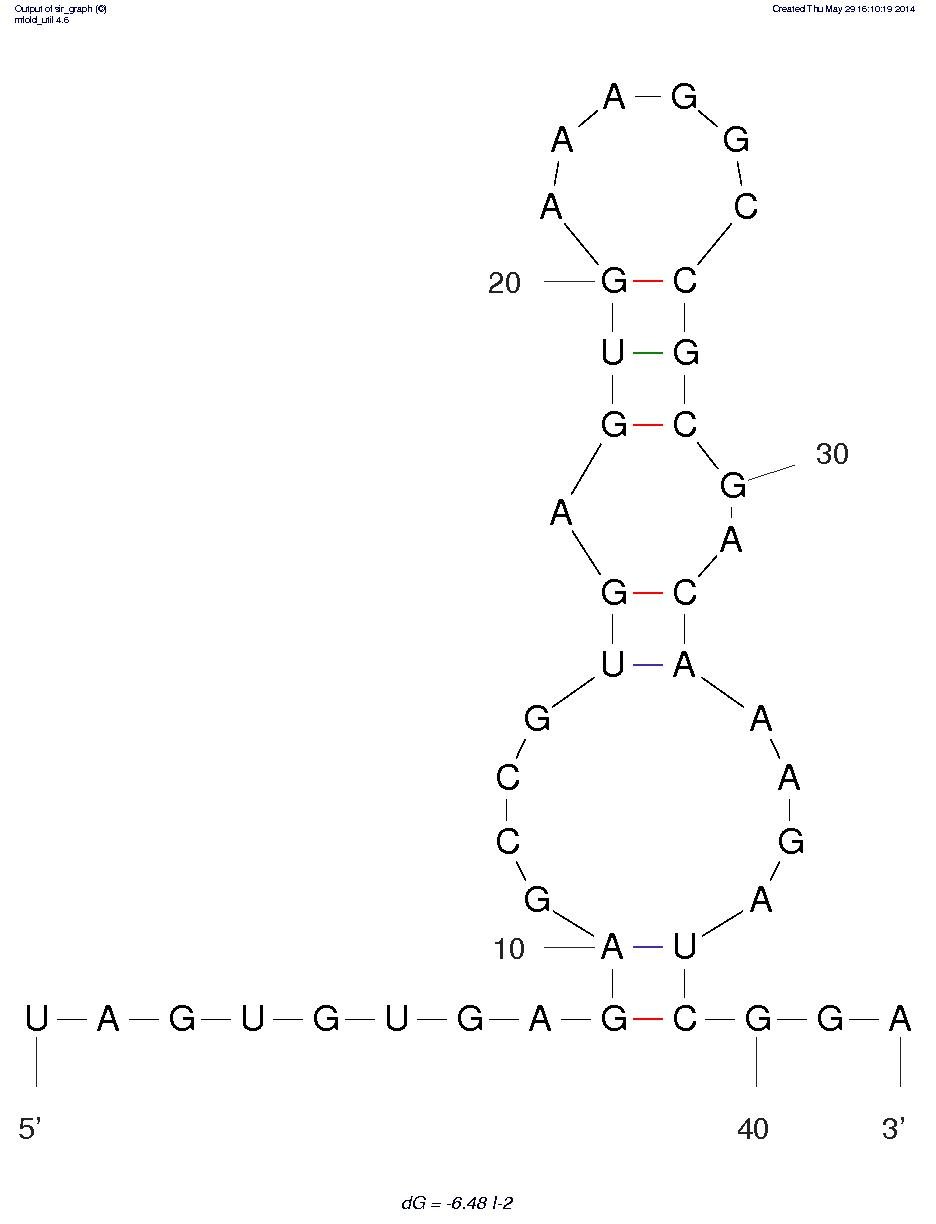 Salmonella Typhimurium OmpC Protein (T-2) structure