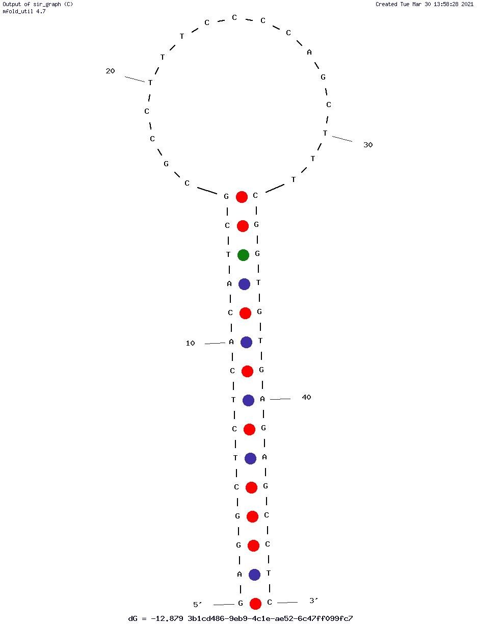S21 structure