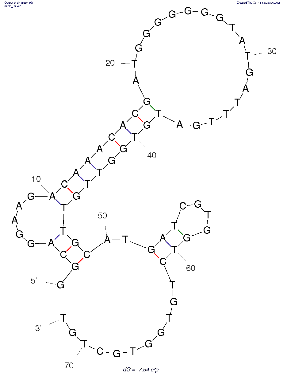 C-Reactive Protein (CRP) structure
