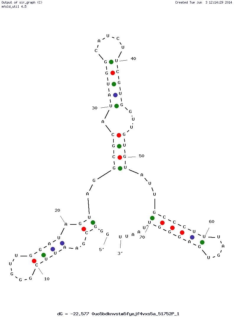 2′-O-Methyl modified RNA aptamer structure