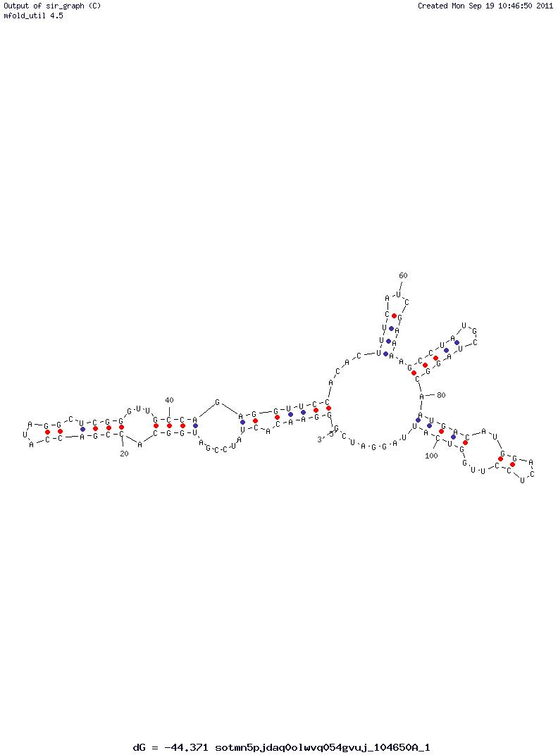 Biotin structure