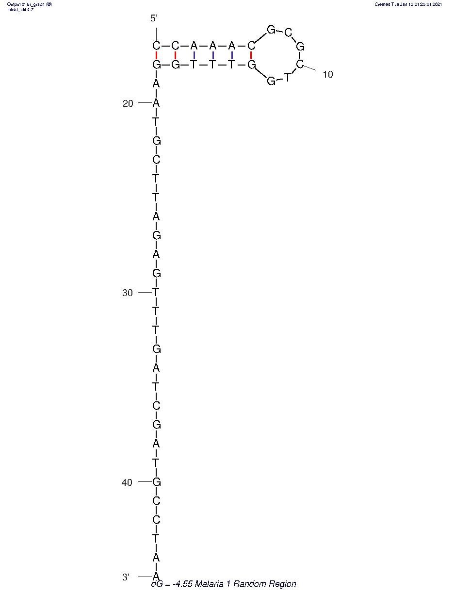 Malaria.1 structure