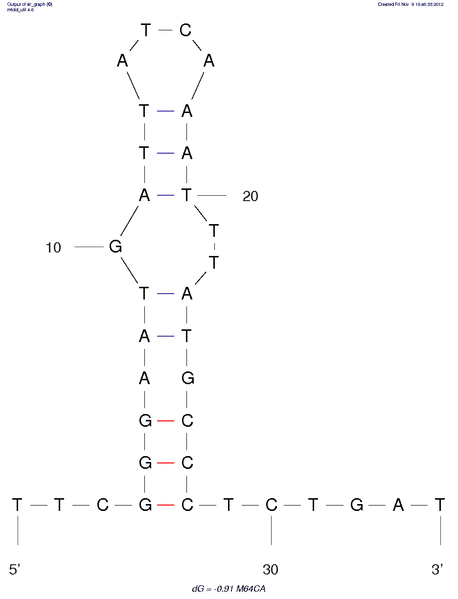 M64CA structure