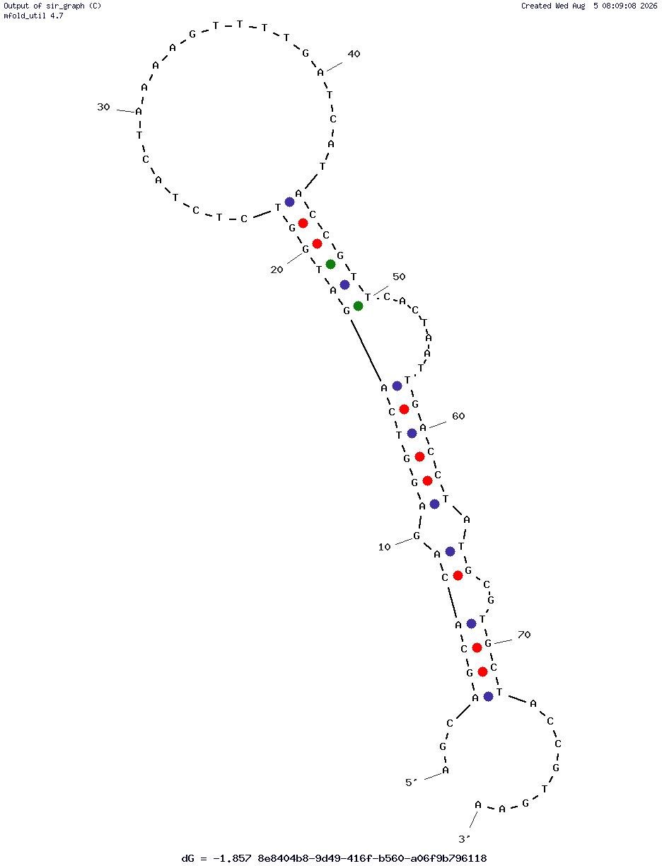 Ractopamine (RAC-6) structure