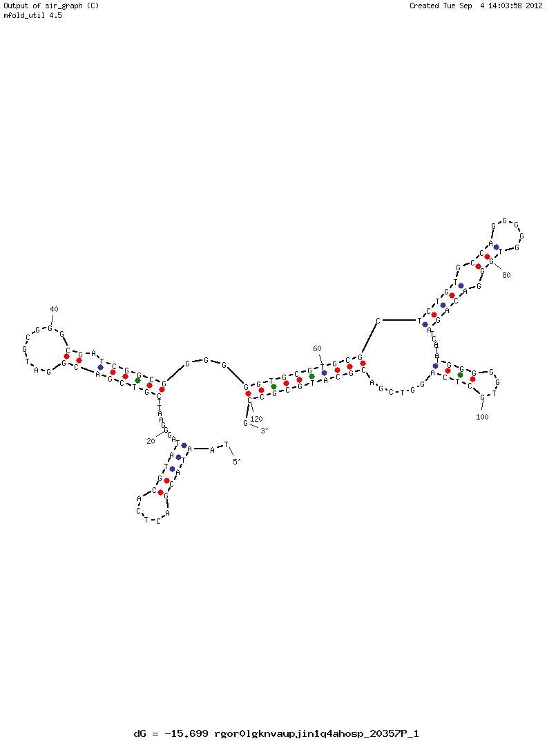 8-OHdG (22) structure