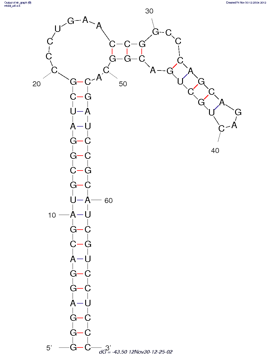 OSM (ADR58) structure