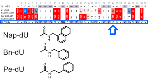 SL1025 structure
