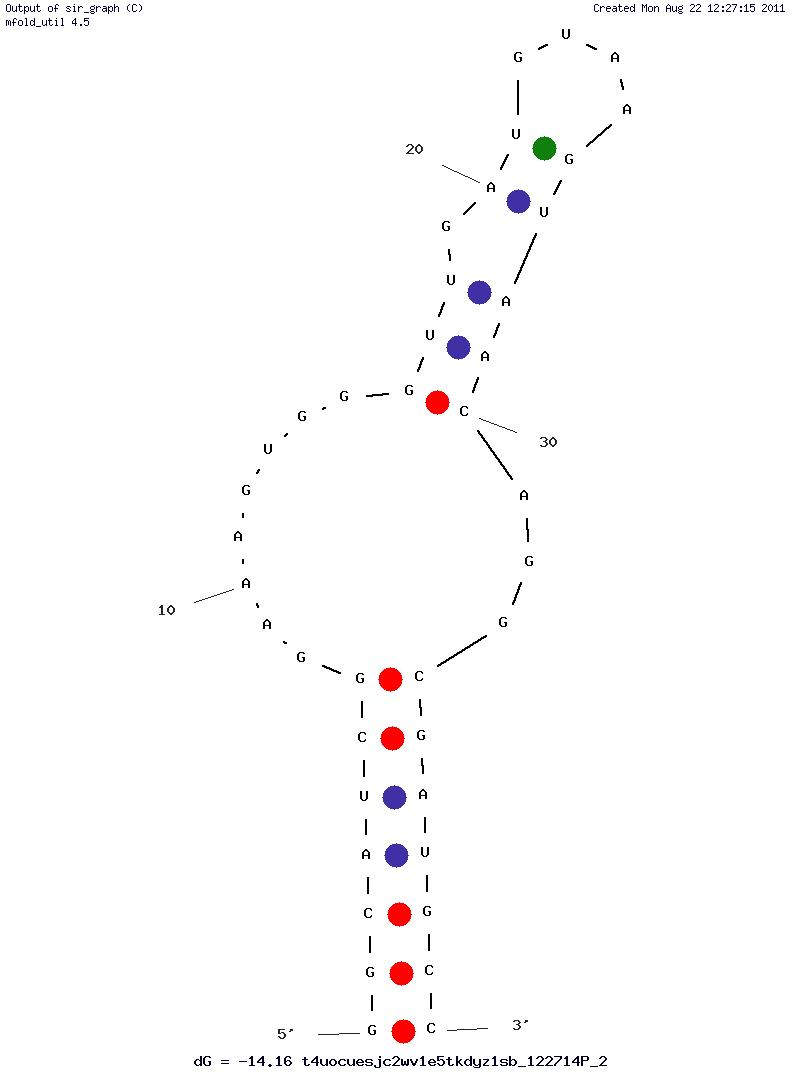 L-Histidine (His 945) structure