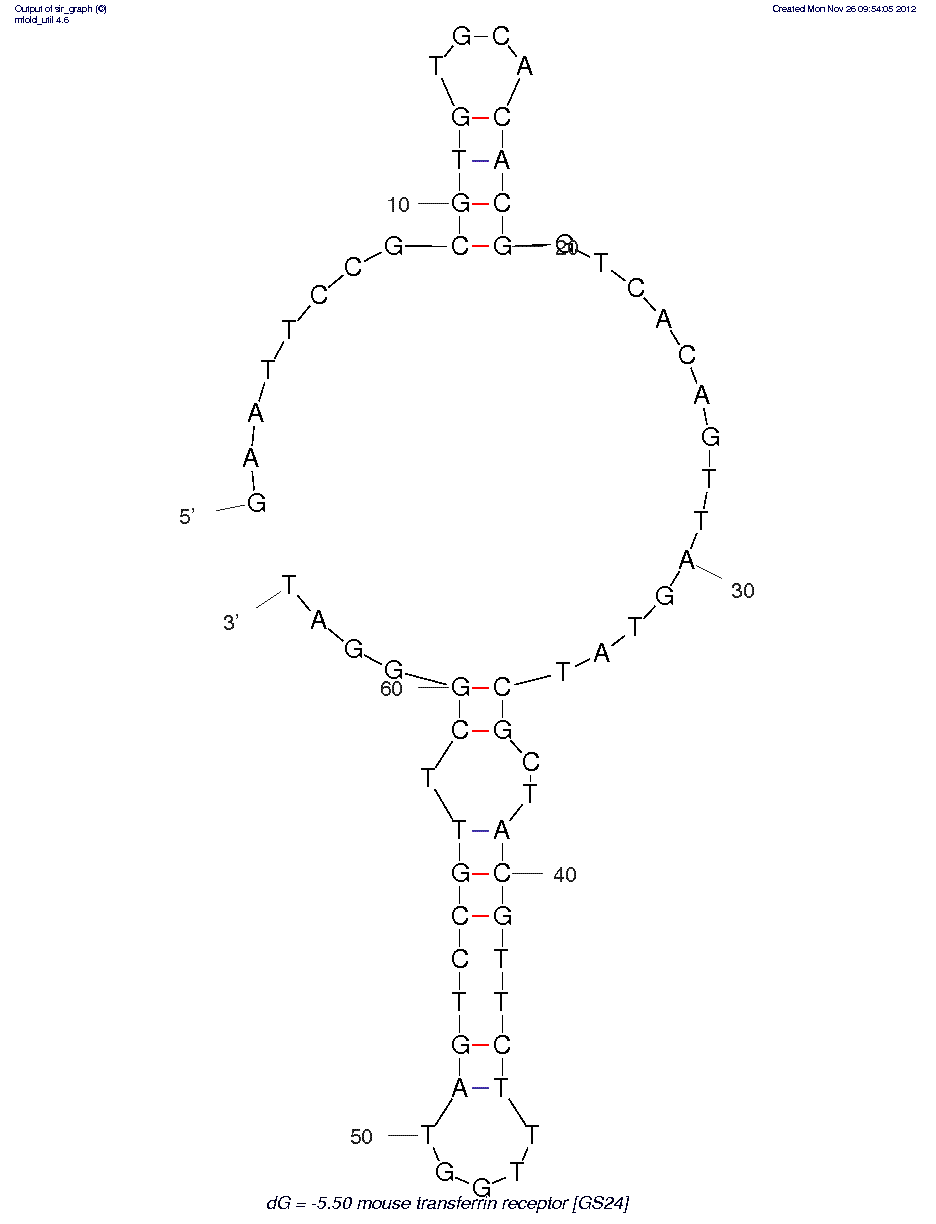 Mouse Transferrin Receptor (GS24) structure