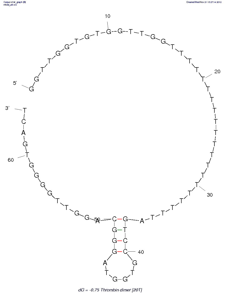 Thrombin (15mer-29-mer dimer with 20T linker) structure