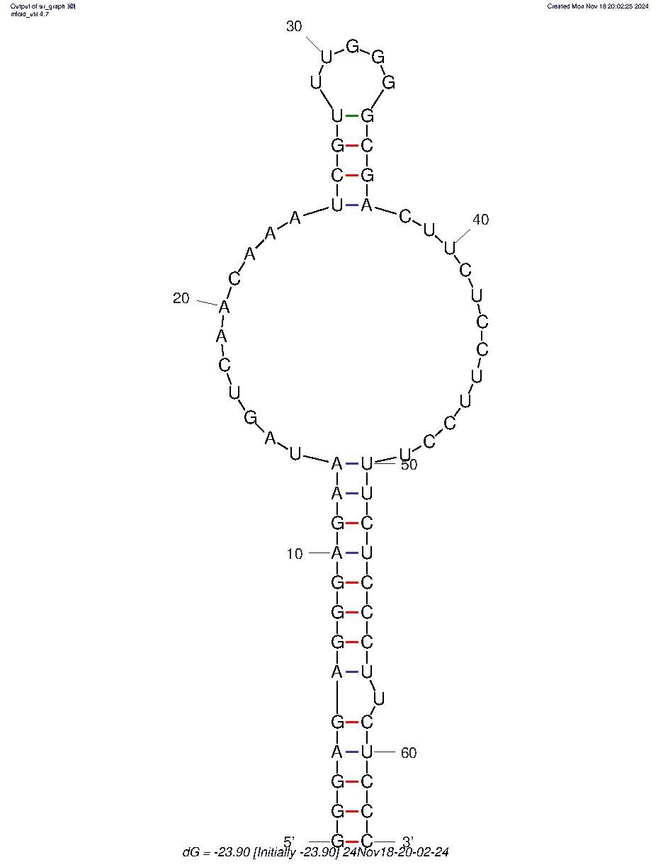 MRP1Apt (3) structure