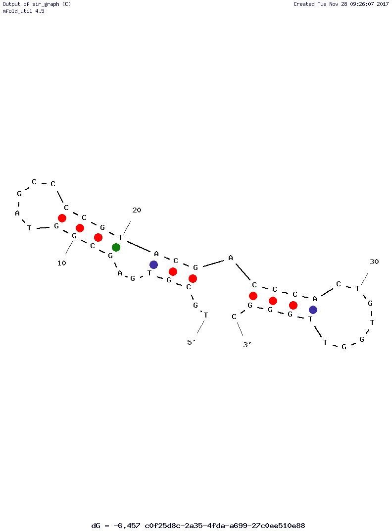 CCFM641-5 structure