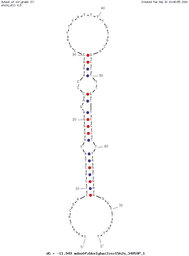G5a3N.4 structure