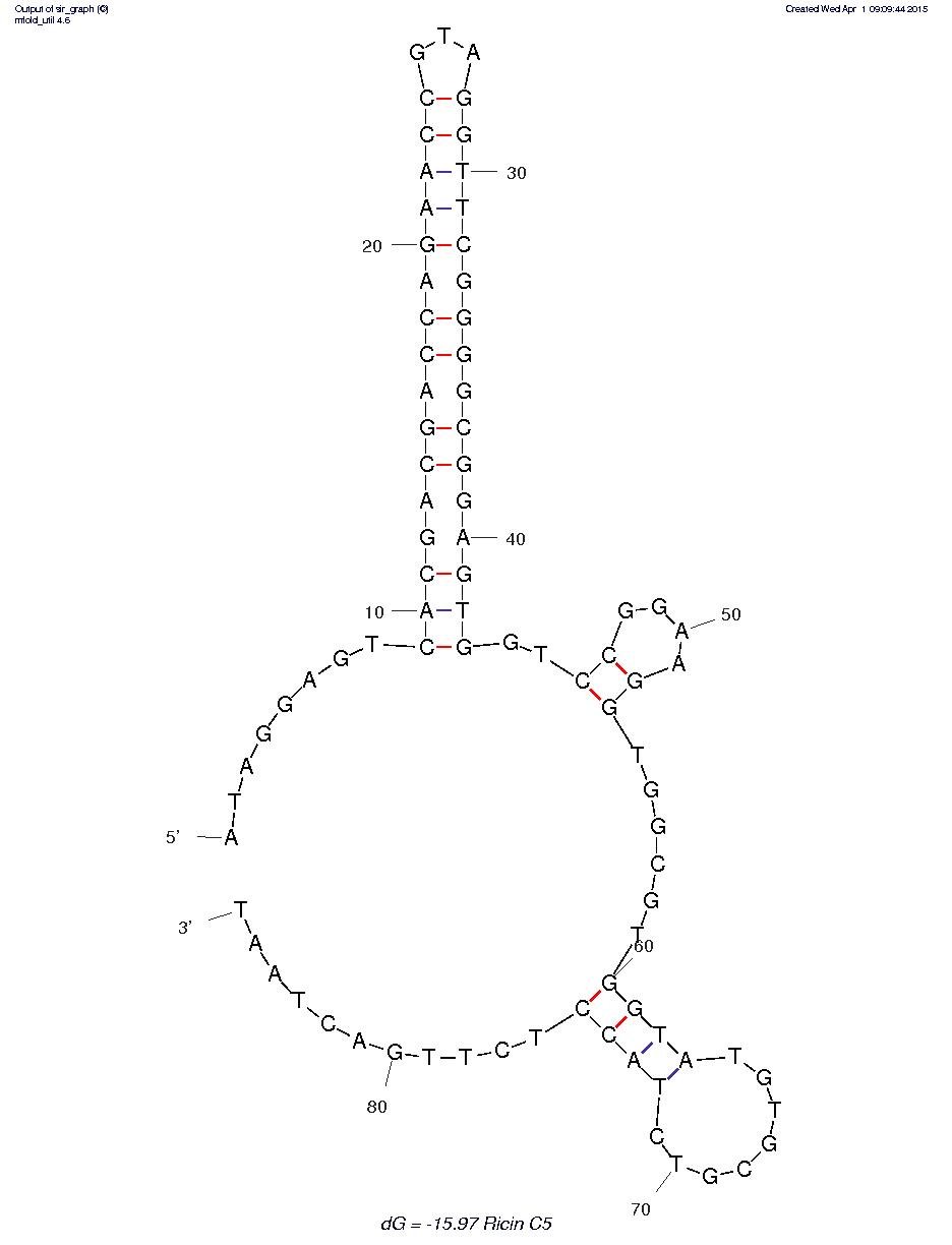 Ricin Toxin (C5) structure
