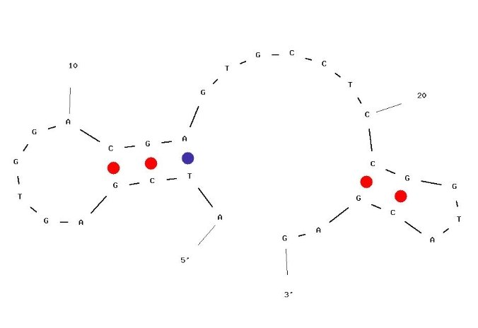 F5R2 structure