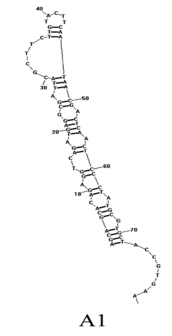 A1 structure