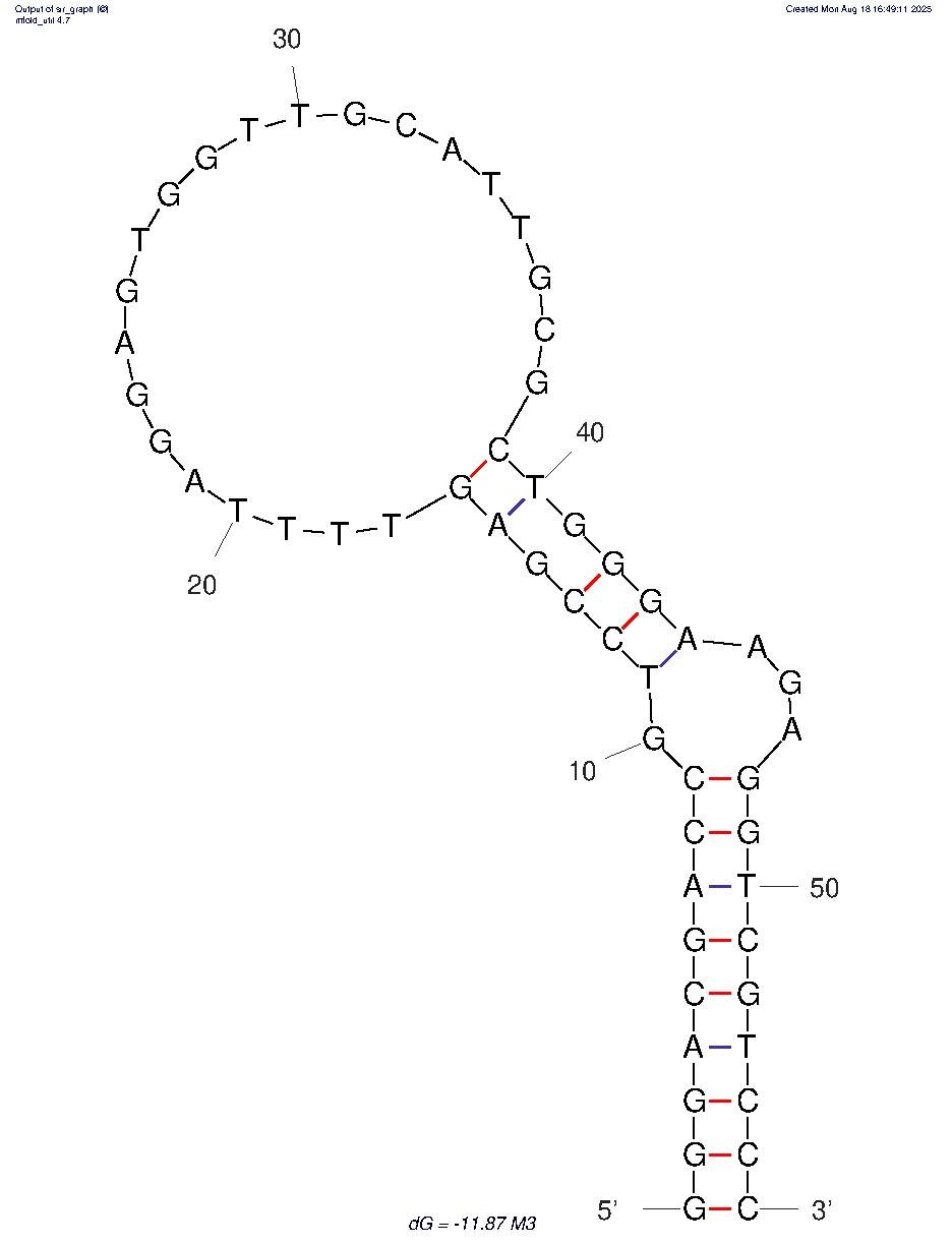 Methamphetamine M3 structure