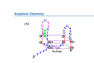 EAg3-Py structure